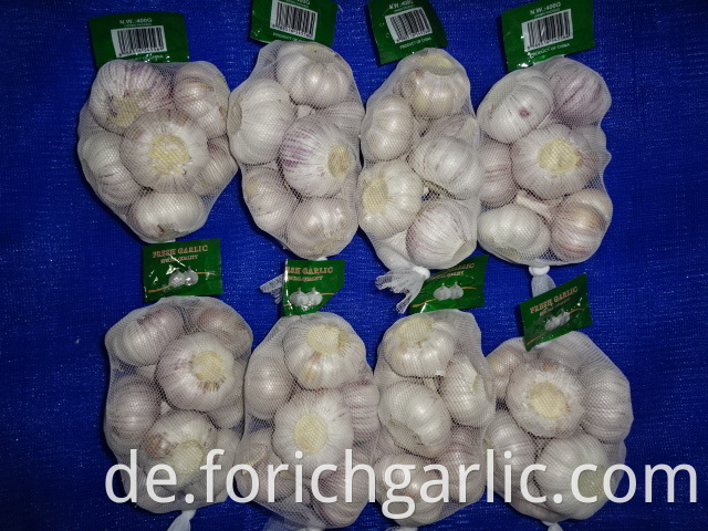 Export Standard New Garlic